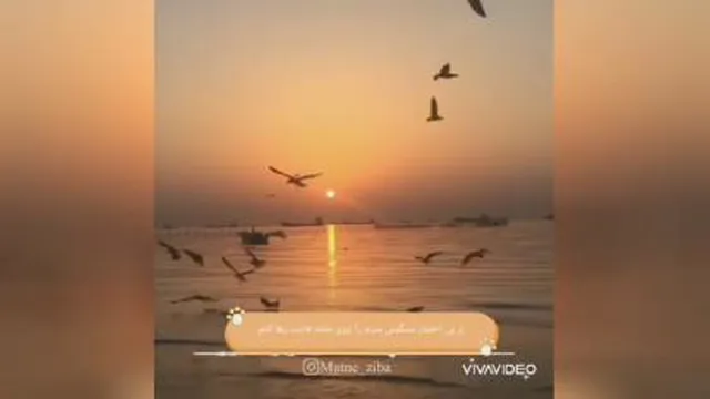 بی اختیار کنارت می نشینم و تو ...