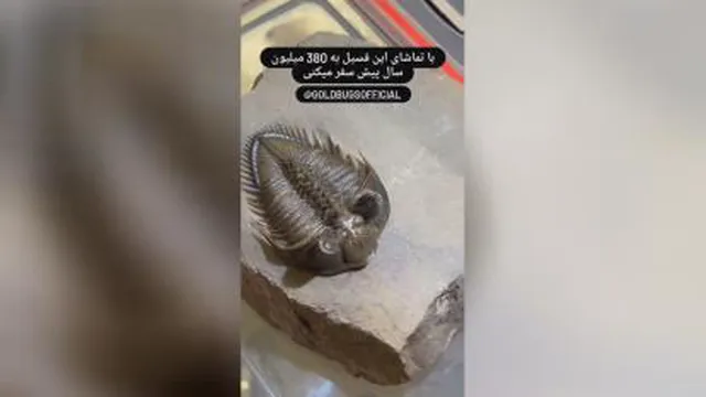 فسیل 230 میلیون ساله
