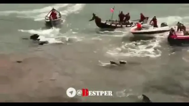 وحشی گری در غرب 😲