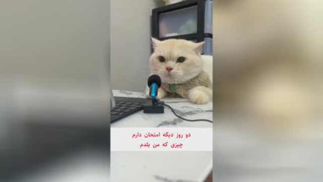 استوری بعد امتحان