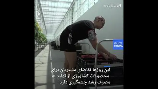 🎥 کشاورزی از تولید به مصرف در بزرگترین ‌گلخانهٔ روی بام دنیا