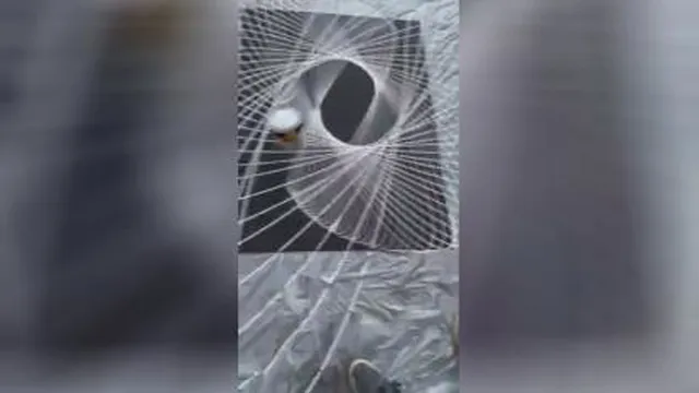 هنر وخلاقیت