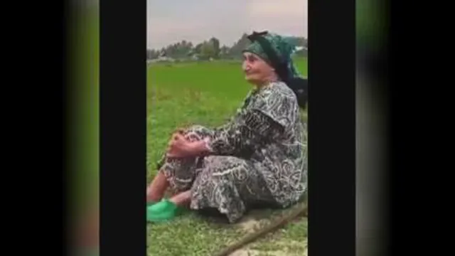 ننه گیلکی