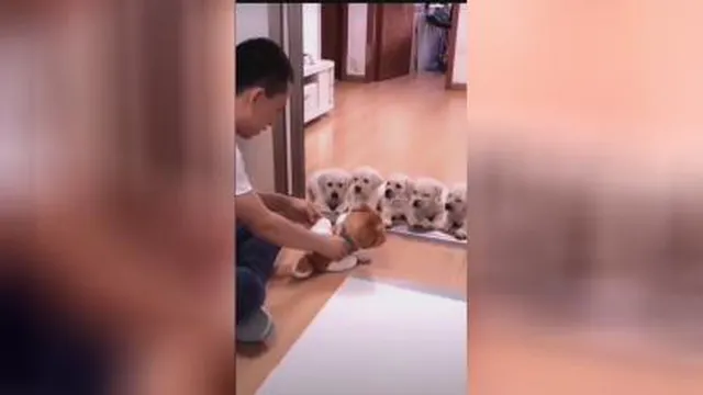 بقیه حساب کار دستشون اومد😂😂