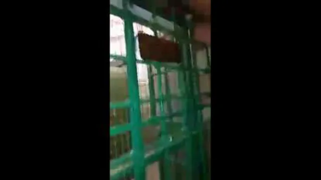 مرقد مطهر حضرت ابراهیم (ع)