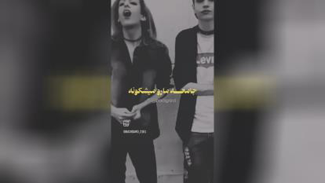 احمق ها...