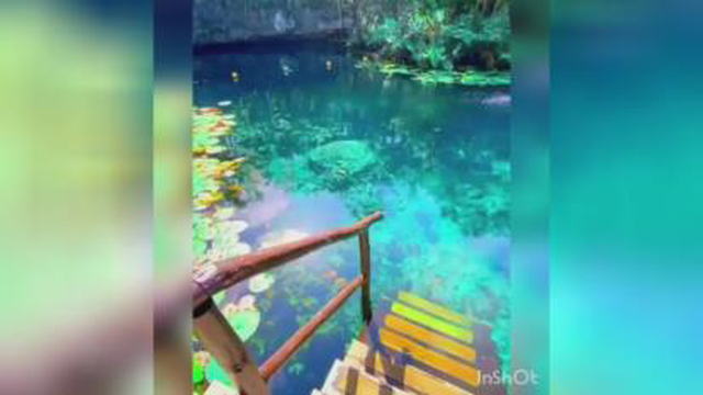انگیزشی