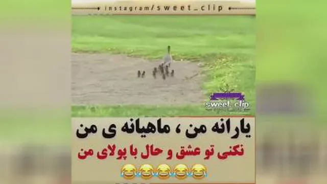 #طنز #دبله #دابسمش