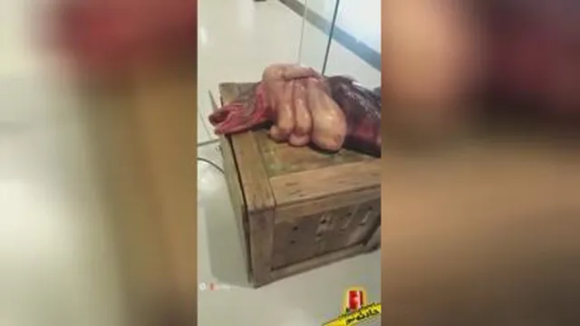 ماهی های زیر دریا که تا به حال ندیده اید💖💖💖