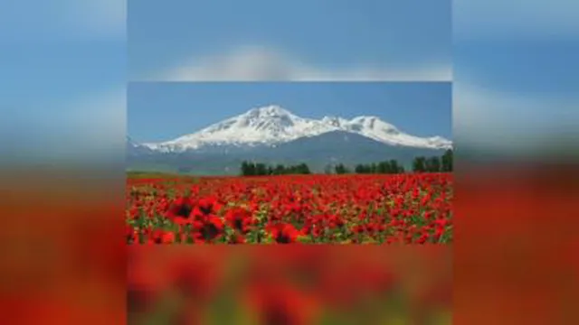 کتاب صوتی قله ها ودره ها