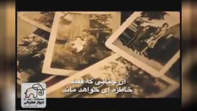 با دیدن این فیلم دلتان سبک و روحتان آرام میشود☺️ .