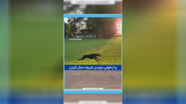 بهترین ویدیو آموزنده