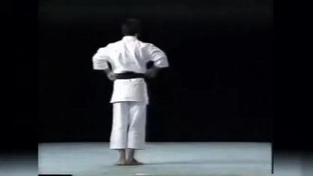 کاتای هیان ساندان شیتوریو - Kata Heian Sandan Shitoryu