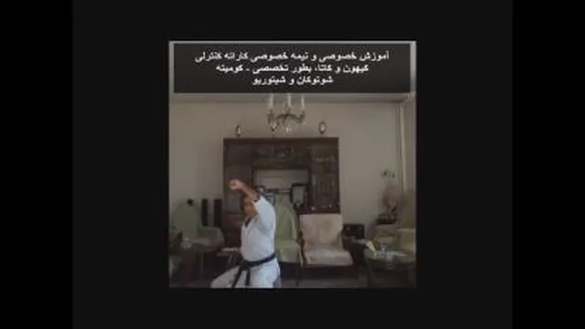 کاتای هیکو - امیر حسین البرز Kata Heiku - Alborz