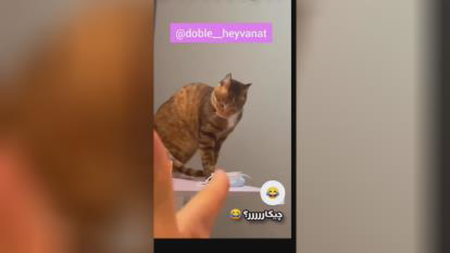 چیکاااار کردی ؟! 😂
