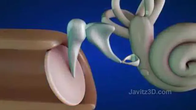 گوش