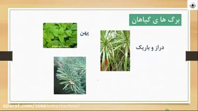 فصل 12 علوم پایه پنجم