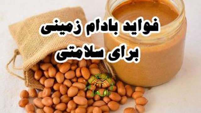 فواید بادام زمینی