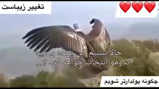 تغیر زیباست