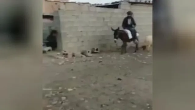 به فنا رفت بدبخت 😂