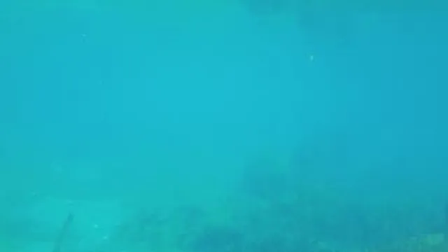 مستر تور