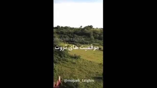 باور