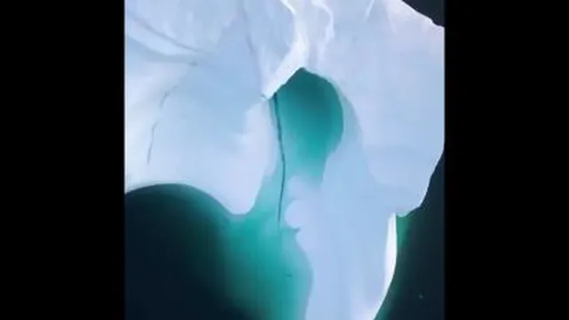 موفقیت