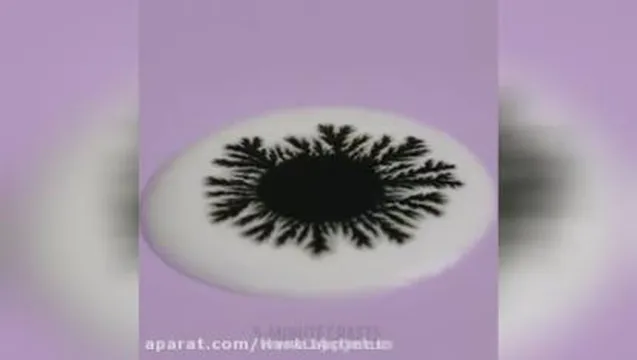 جالب و کاربردی