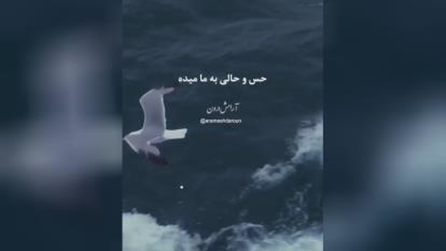 شکرگزاری کنی به خواستت میرسی