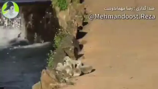 روز پدر