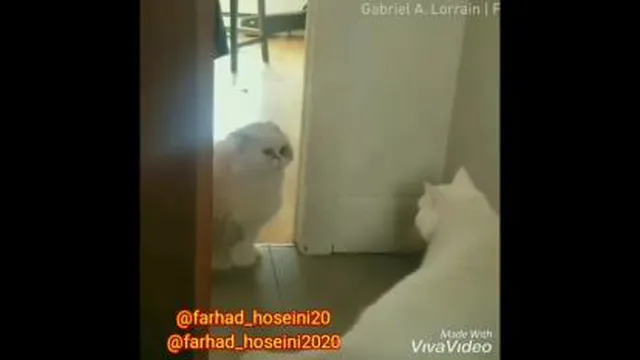 صداگذاری باحال دوبله مشهدی😂😂😂😂😂