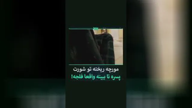 سکانس فیلم morri_مورچه میریزه تو شلوار پسره ببینه فلکه با نه؟😅