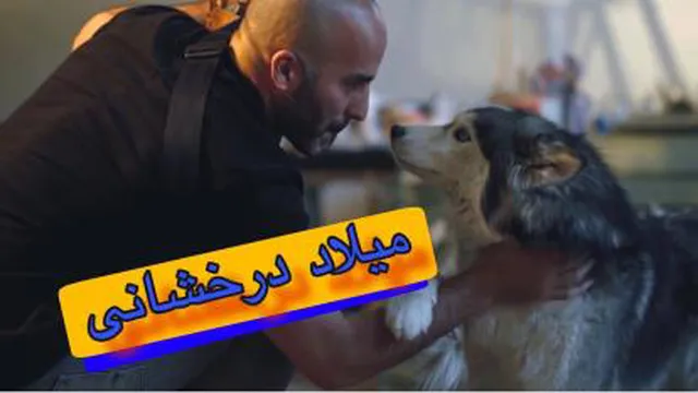 میلاد درخشانی
