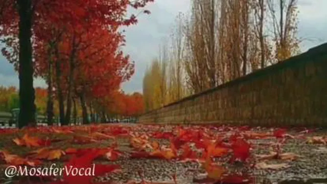 هوای دونفره