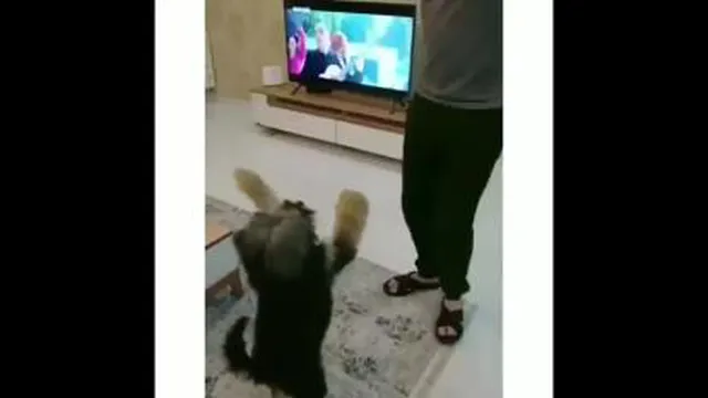 حتما ببینید