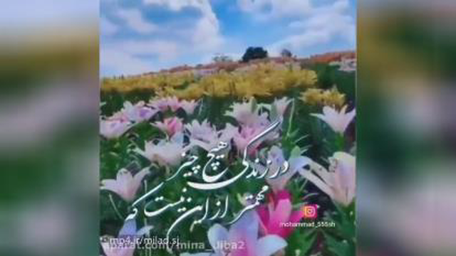 کلیپ /حال دل تون خوش