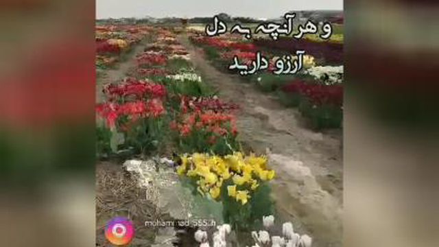 صبحتون پر از نشاط و تندرسی