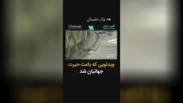 کلیپی که باعث حیرت جهانیان شد...👌👌