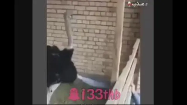 جدید ترین هنر نمایی لیونل مسی....🤩🤩
