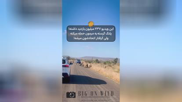 حیوانات وحشی
