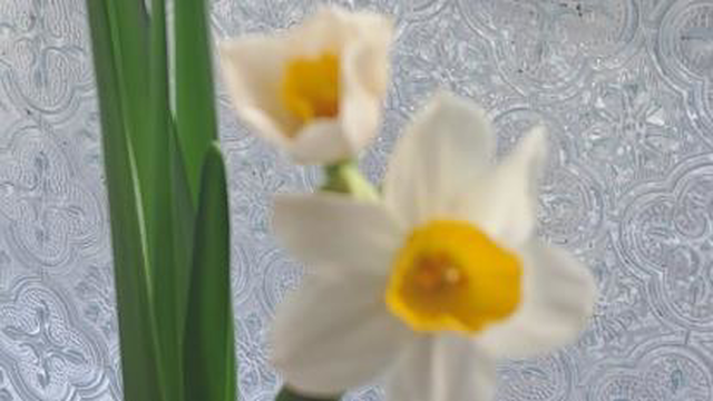 ایده سرو برنج
