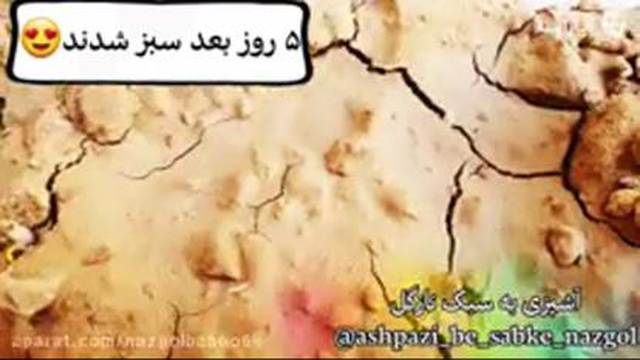 زعفران
