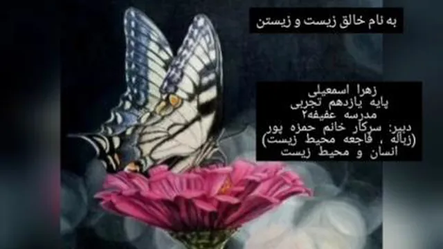 تخریب محیط زیست