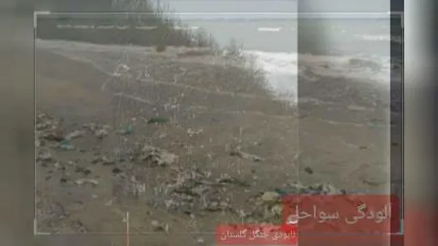 محیط زیست