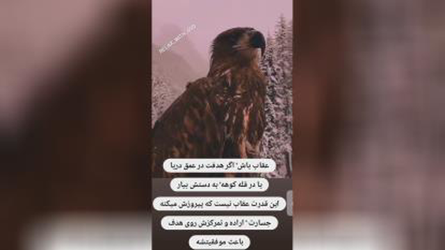 نگرش همه چیز است