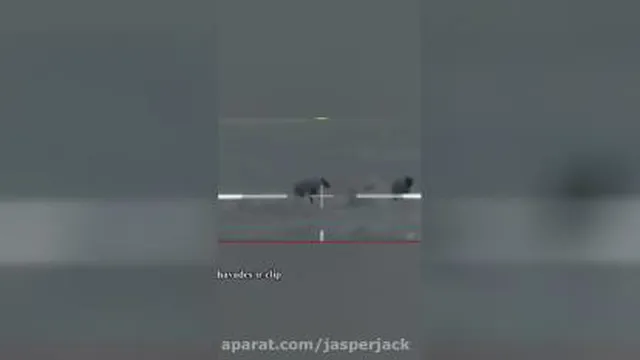 گرگ زده به گله و چوپان تک تیرنداز👌👌
