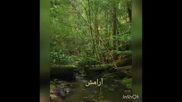 ارامش محض 🌿☘🍃🍀🌿