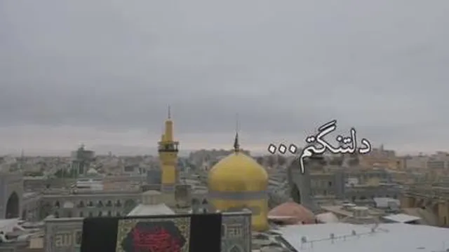 نماهنگ منو دریاب به مناسب زیارت مخصوص امام رضا (ع) | سیدمجید بنی فاطمه