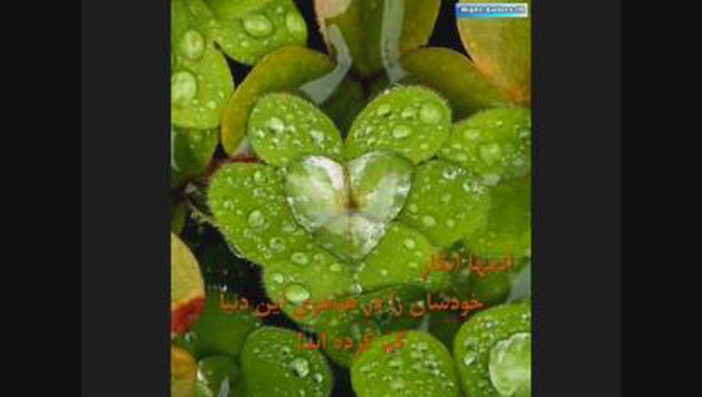 حس خاص