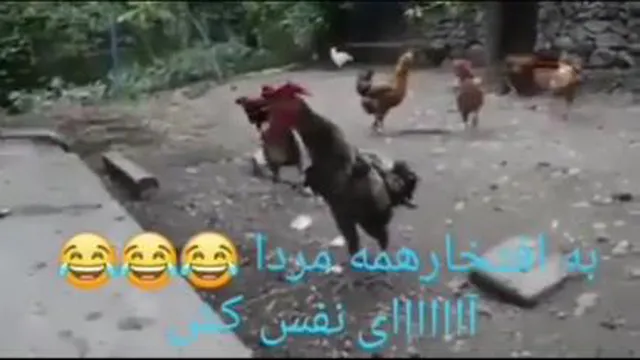 مـــــرد تویی سلطان
